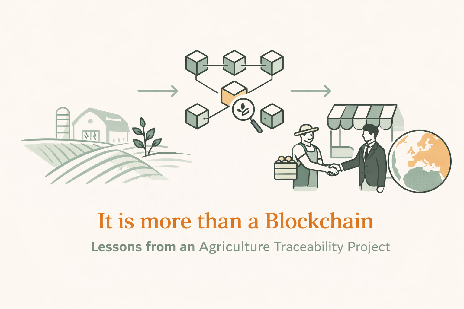 It is more than a Blockchain: Lessons from a Agriculture Traceability Project
